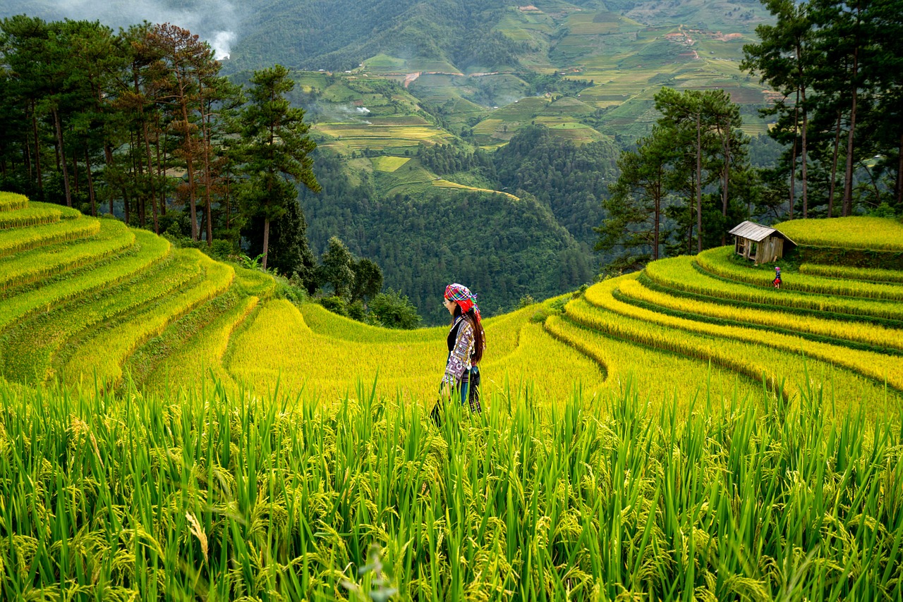 Gambar Profil Nagari